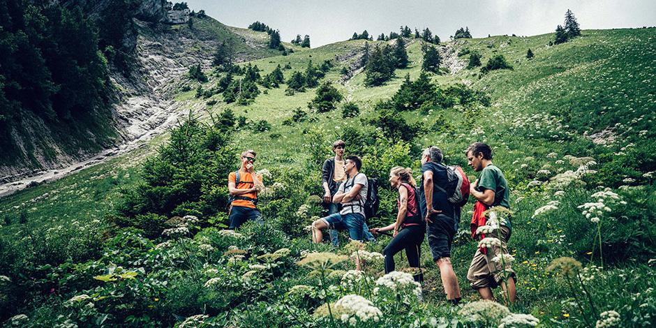Eine Gruppe von Menschen wandert durch eine grüne Wiese in den Alpen.